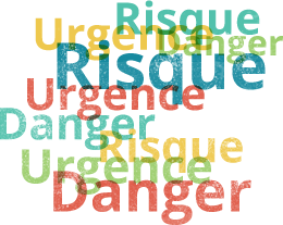 Risque - Urgence - Danger (RUD)